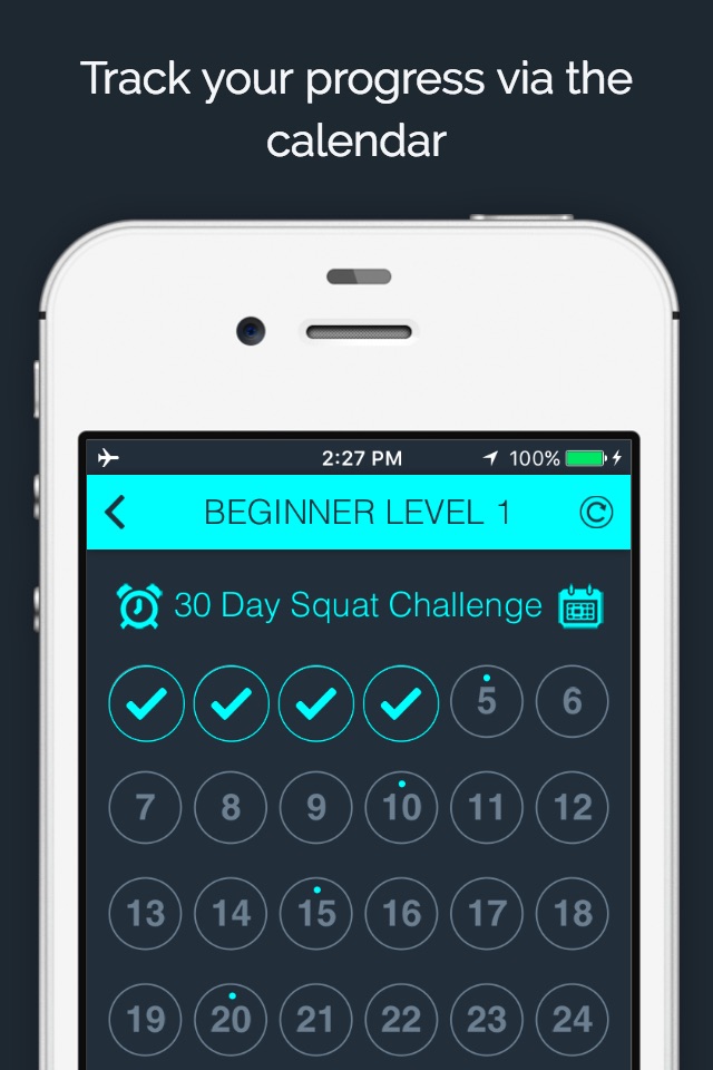 30 Day - Squat Challenge screenshot 2