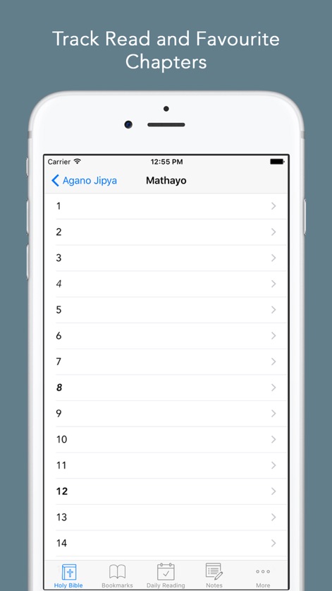 Swahili Bible: Easy to use Biblia Takatifu app for daily offline Bible book reading - swahili-bible-chapters-list