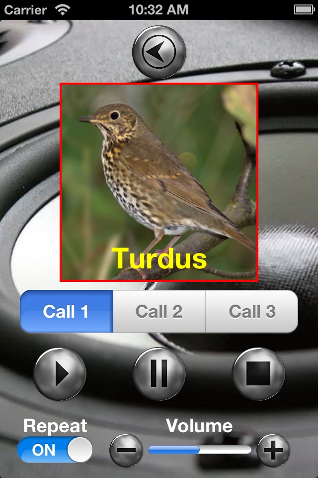 Birds Mimic screenshot 4