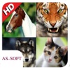 Animal Sounds Best - iPadアプリ