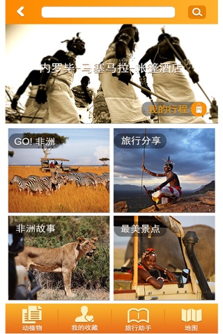 goafrica screenshot 2