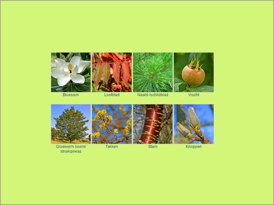 Bomen-Determinatie iPad app afbeelding 1