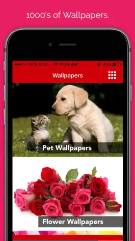 Game screenshot Pet wallpaper pictures : Background of flowers, cats and dogs for your mobile lock screen mod apk