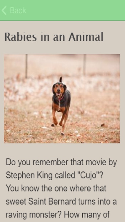 Symptoms Of Rabies
