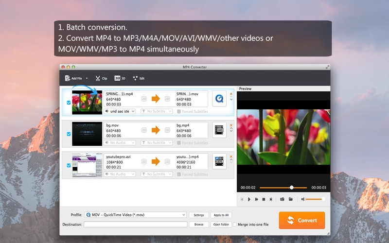 Screenshot #2 pour MP4 Converter- Video to MP4