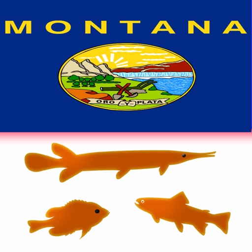 Montana Lakes - Fishing