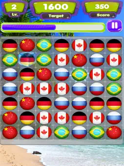 Flag Match Puzzle screenshot 5
