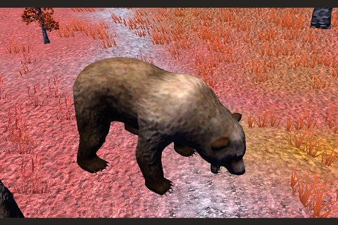 Wild Bear Sniper Hunter 2016 screenshot 3