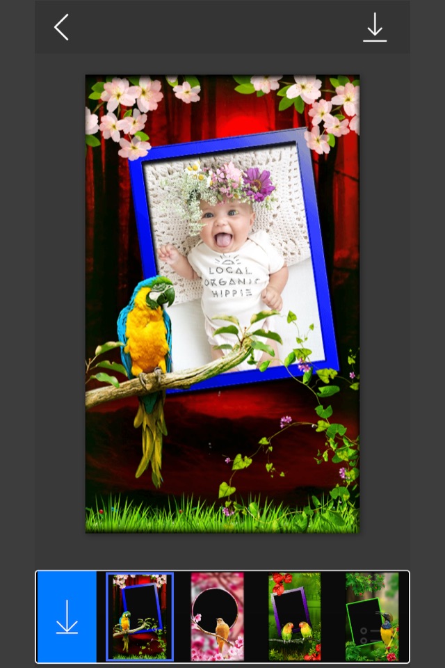 Bird Photo Frames - Make awesome photo using beautiful photo frames screenshot 3