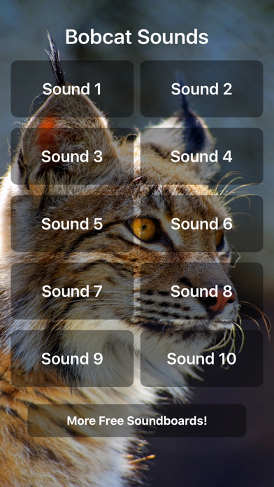 Bobcat Sounds! Screenshot