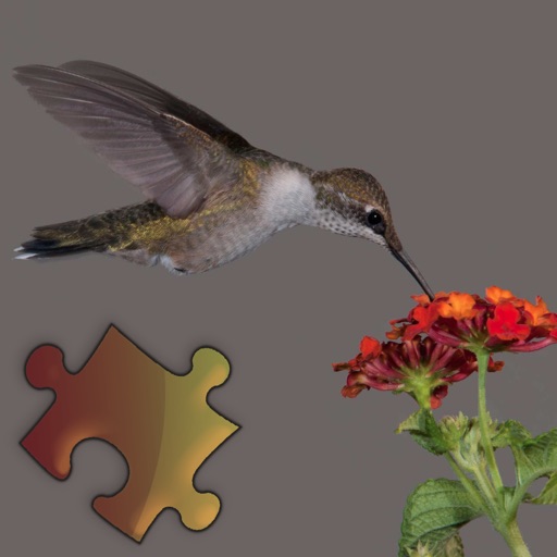 Hummingbirds Puzzles icon