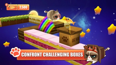 Kitty in the box screenshot 3