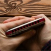 Harmonica Lessons - Learn to Play Harmonica - iPhoneアプリ