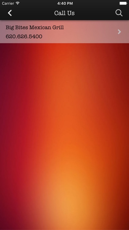 Big Bites Mexican Grill