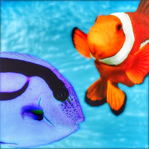 Quiz for Finding Dory - Including trivia questions and answers for Finding Nemo icon