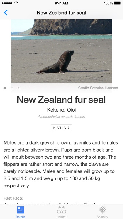 New Zealand Marine Life