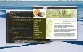 helloweb free: write & test html/css/js code айфон картинки 1