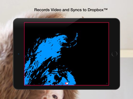 Screenshot #6 pour Cambush - Motion Detector Video Camera - Surveillance, Detection, Security, Spy Cam App