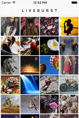 Game screenshot LiveBurst - Animate Burst Photos, Live to GIF Converter mod apk