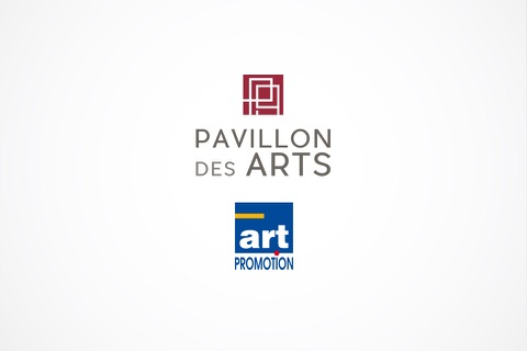 Pavillon des Arts screenshot 3