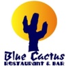 Blue Cactus & Iguana Lounge