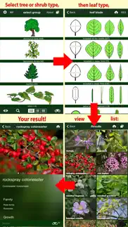 How to cancel & delete tree id usa - identify over 1000 of america's native species of trees, shrubs and bushes 3
