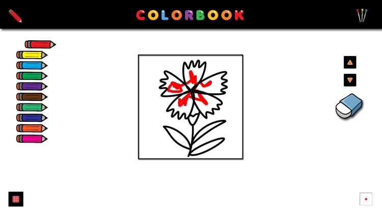 Colorbook - Flower Collection