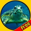 verry funny turtles for kids free