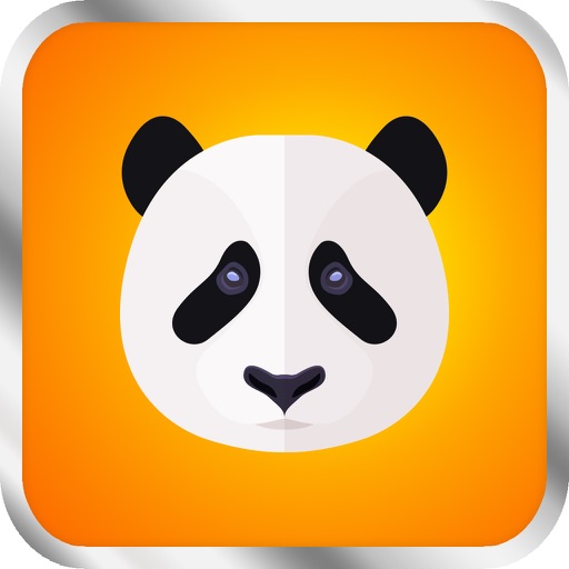 Pro Game - Kung Fu Panda Version