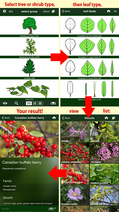Screenshot #3 pour Tree Id Canada - identify over 1000 native Canadian species of Trees, Shrubs and Bushes