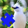 Birds of Paradise Puzzles