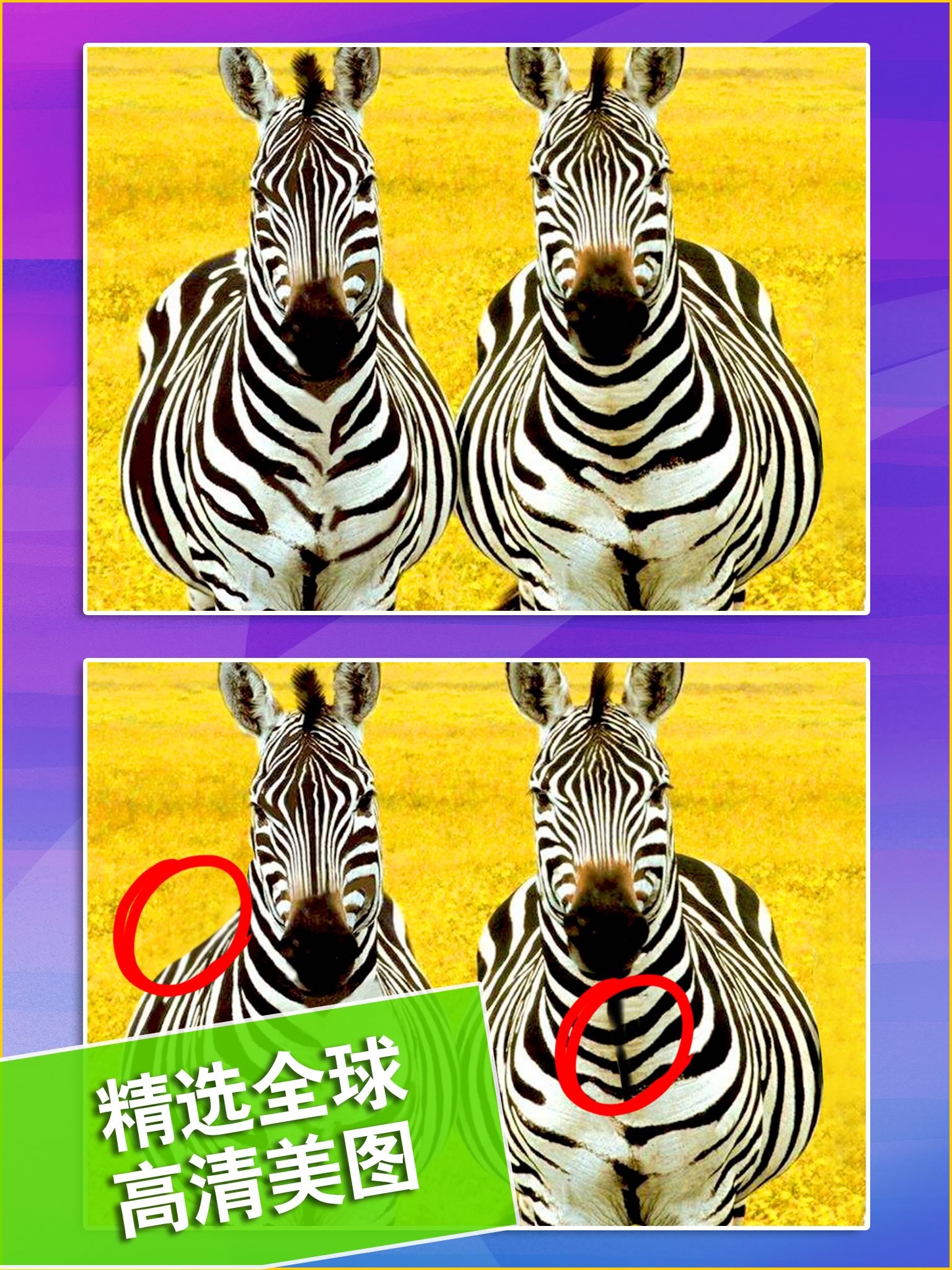 What's the Difference? HD ~ spot the differences·find hidden objects·guessing picture games screenshot 2