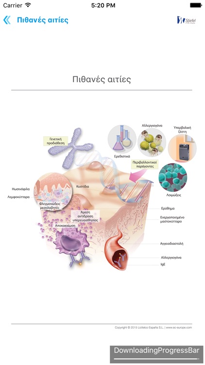 Miniatlas Dermatology screenshot-3
