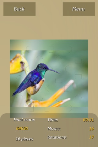 Hummingbirds Puzzles screenshot 2