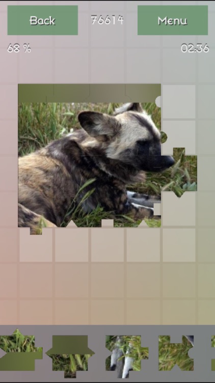 Animals - Jigsaw Puzzles