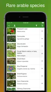 Rare Arable Flowers screenshot #1 for iPhone