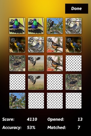 Birds Card Match screenshot 2