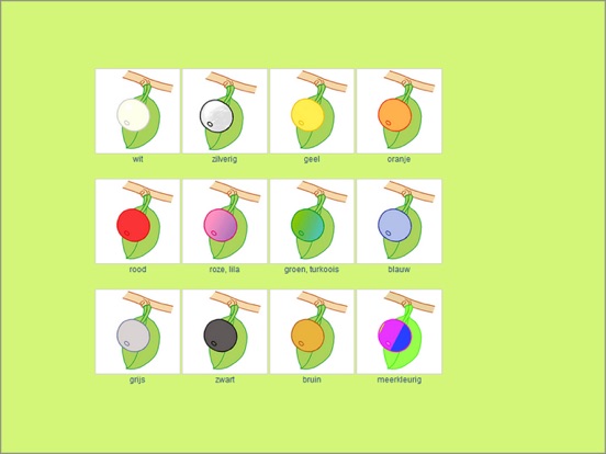Bomen-Determinatie iPad app afbeelding 5