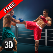 Thai Box Fighting Challenge 3D