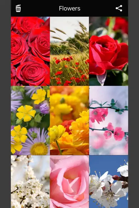 Flowers HD Wallpaper - Great Collection