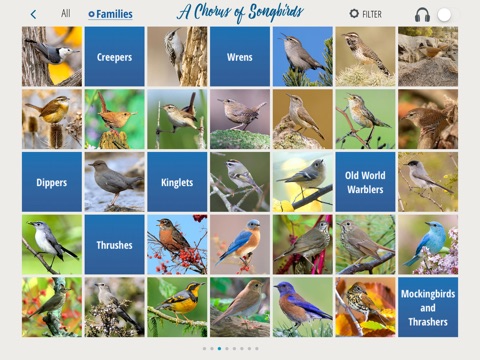 A Chorus of Songbirds screenshot 2