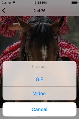 Game screenshot LiveBurst - Animate Burst Photos, Live to GIF Converter hack