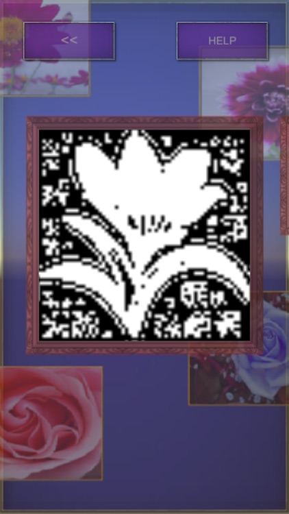 Picross Flower (nonogram)