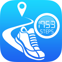 Pedometer Step Counter and Walking Tracker