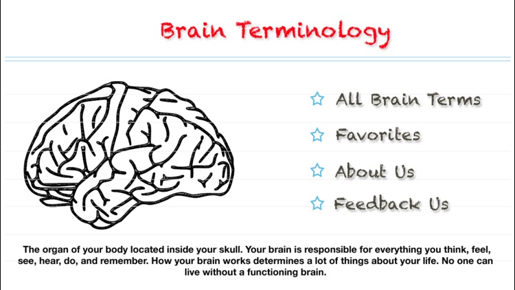 Brain Terminology
