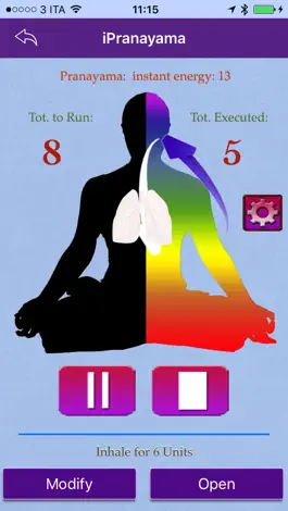 Game screenshot i Pranayama Pro - your guide for breathing exercises apk