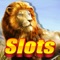 Lion Slots - Luxury casino party free Vegas Slot Machine Games for grand jackpot Serengeti!