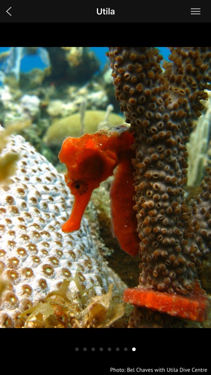 Honduras - Global Dive Guide