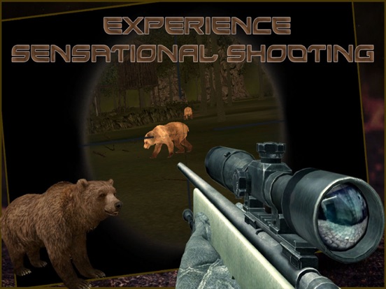 Wild Bear Hunter 2016 : Jungle Beast Hunting Simulation 3d : full fun free game iPad screenshot