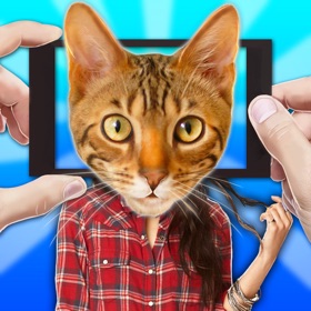 屏幕截图 (3) Scanner What Cat